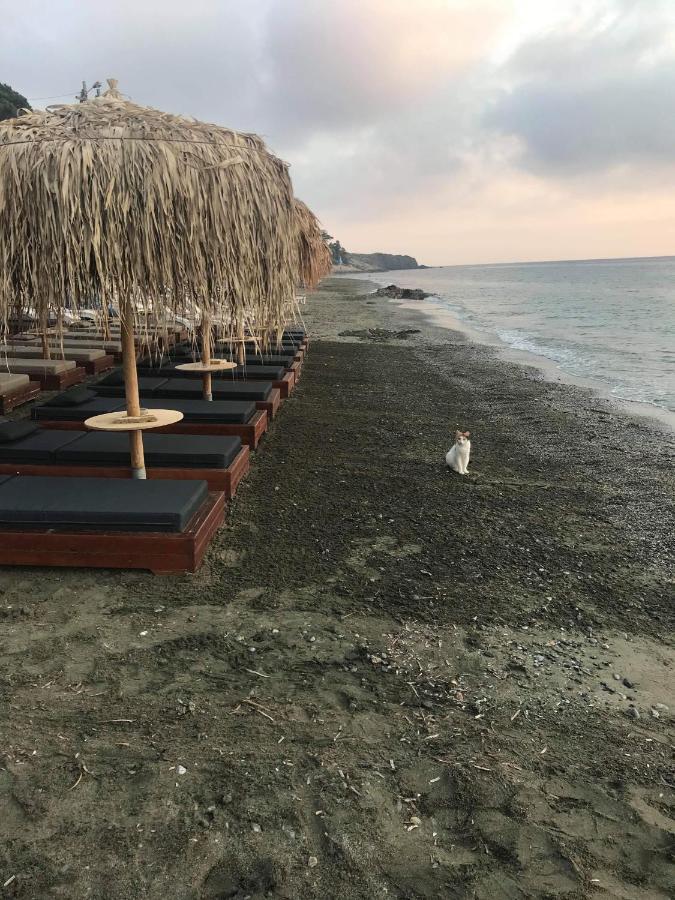 Myrties La Playa Boutique Apartments מראה חיצוני תמונה